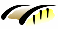 StEG-Logo